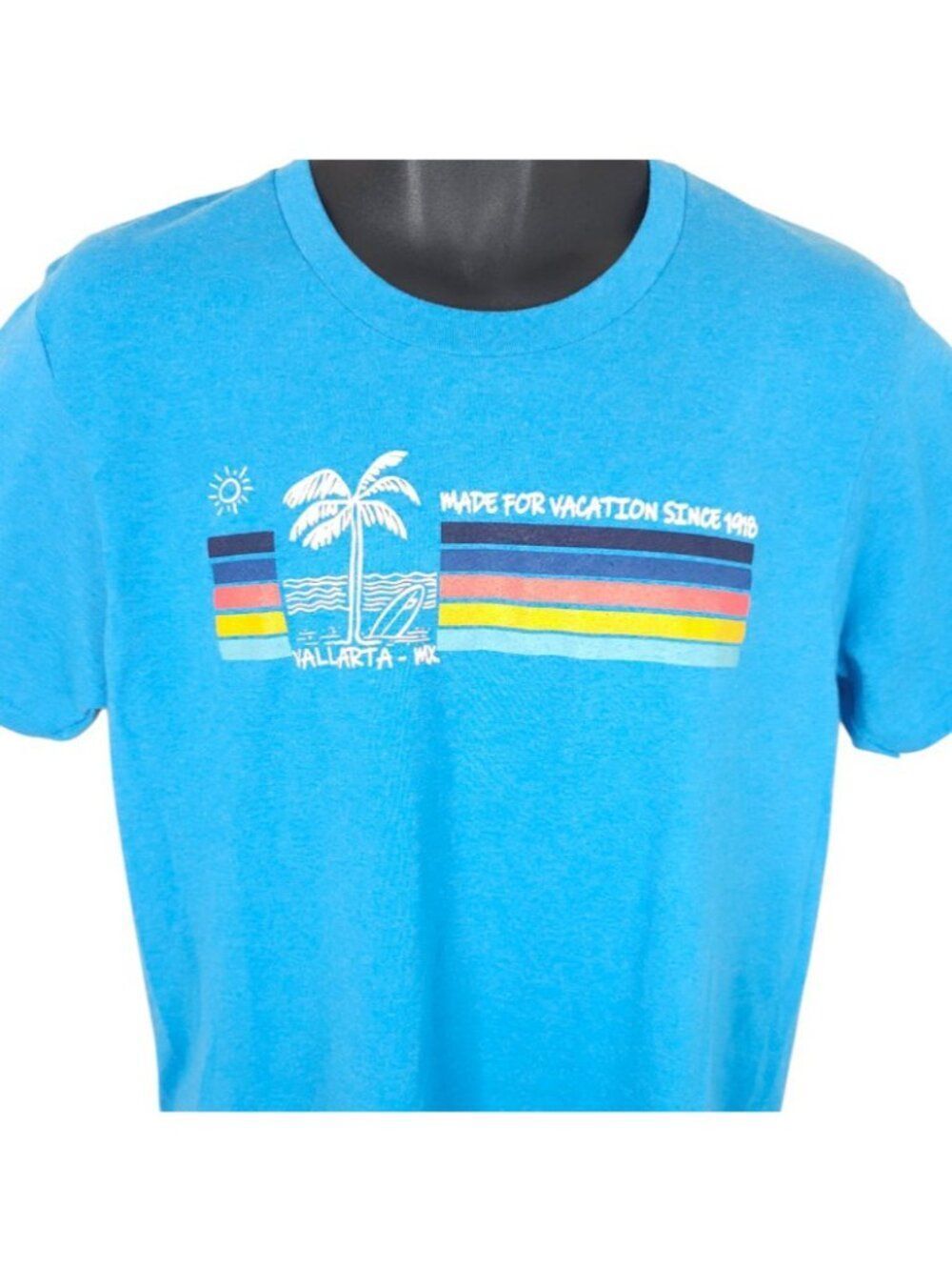Vallarta Mexico T Shirt Mens Size Large Blue Travel Destination Tee